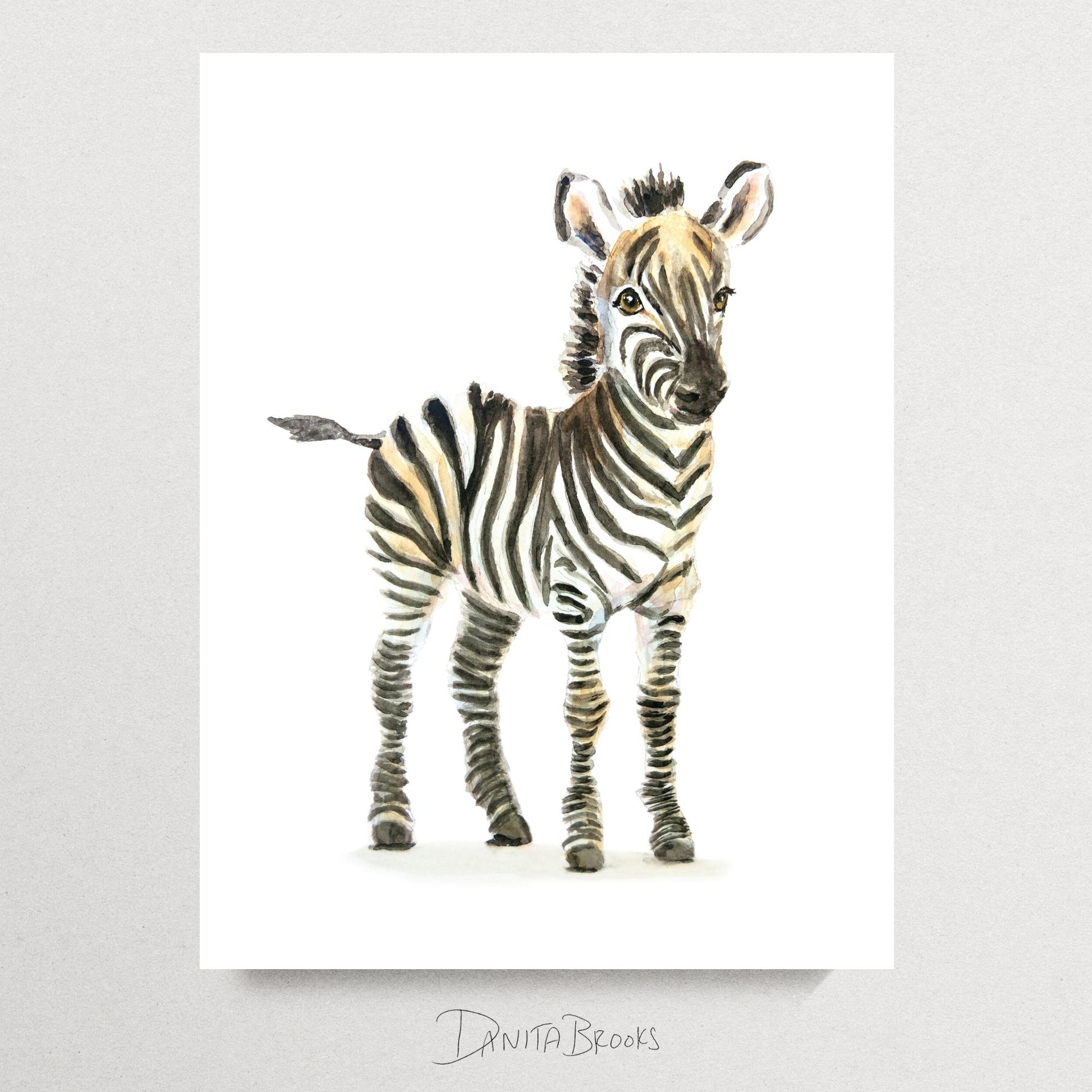 Unframed safari zebra watercolor print – jungle nursery art for baby room