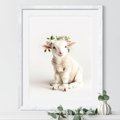 Sitting Lamb Print