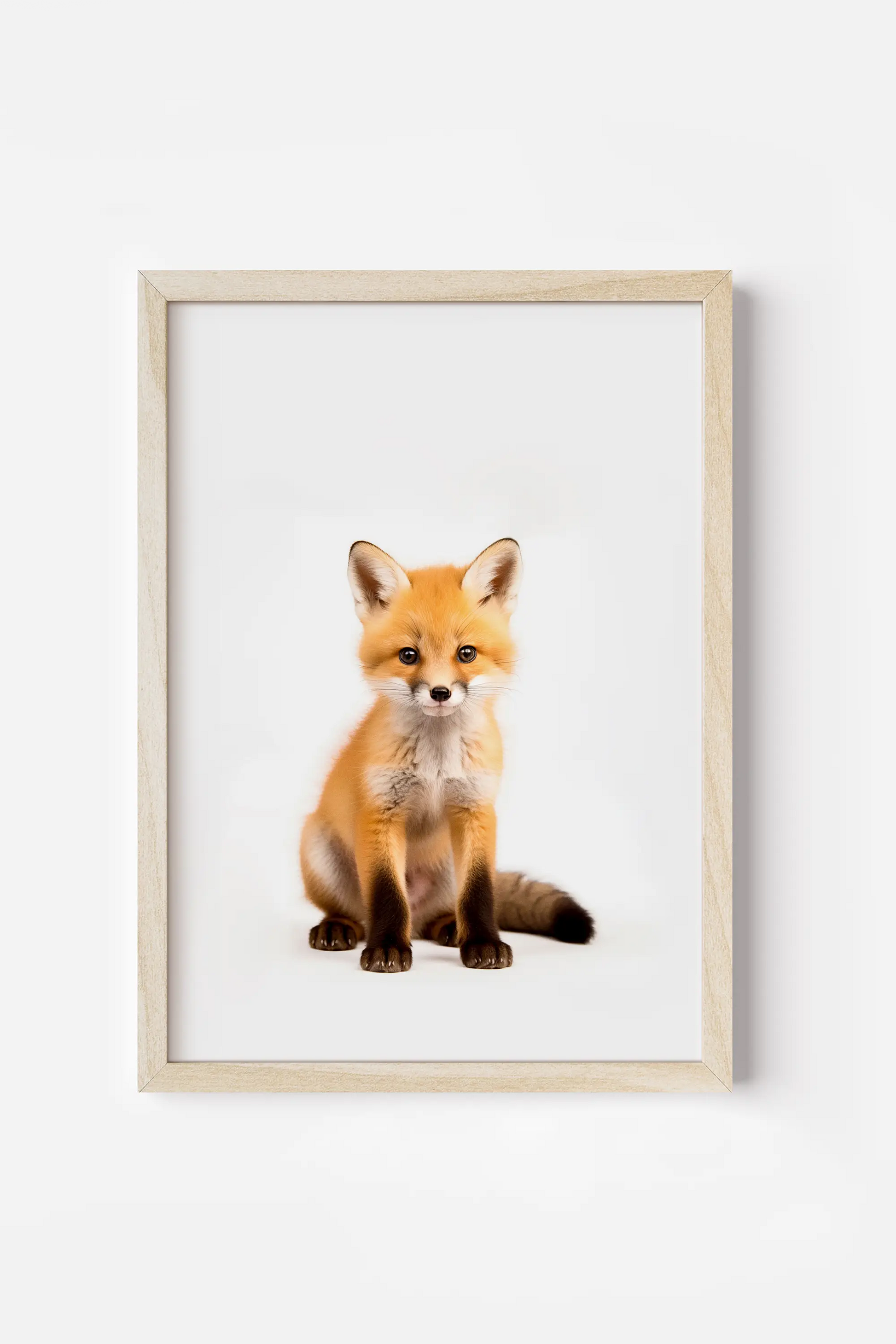 a picture of a fox sitting in front of a white background