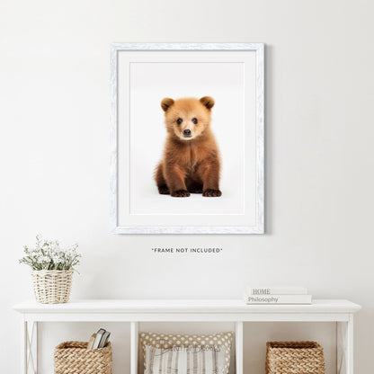 Sitting Baby Bear Art Print