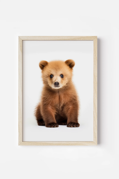 a small brown bear sitting in front of a white wall