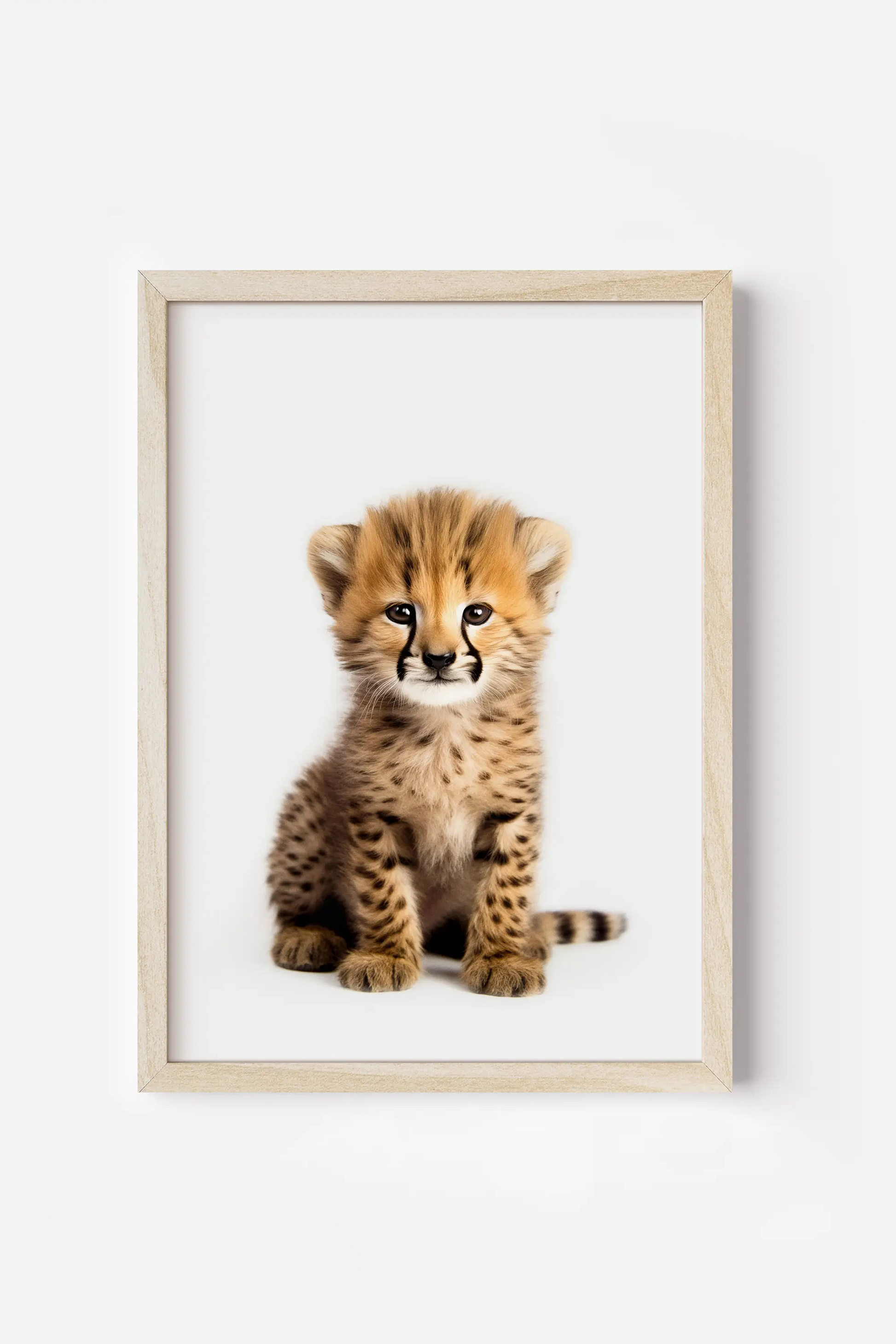 a framed photograph of a baby cheetah cub