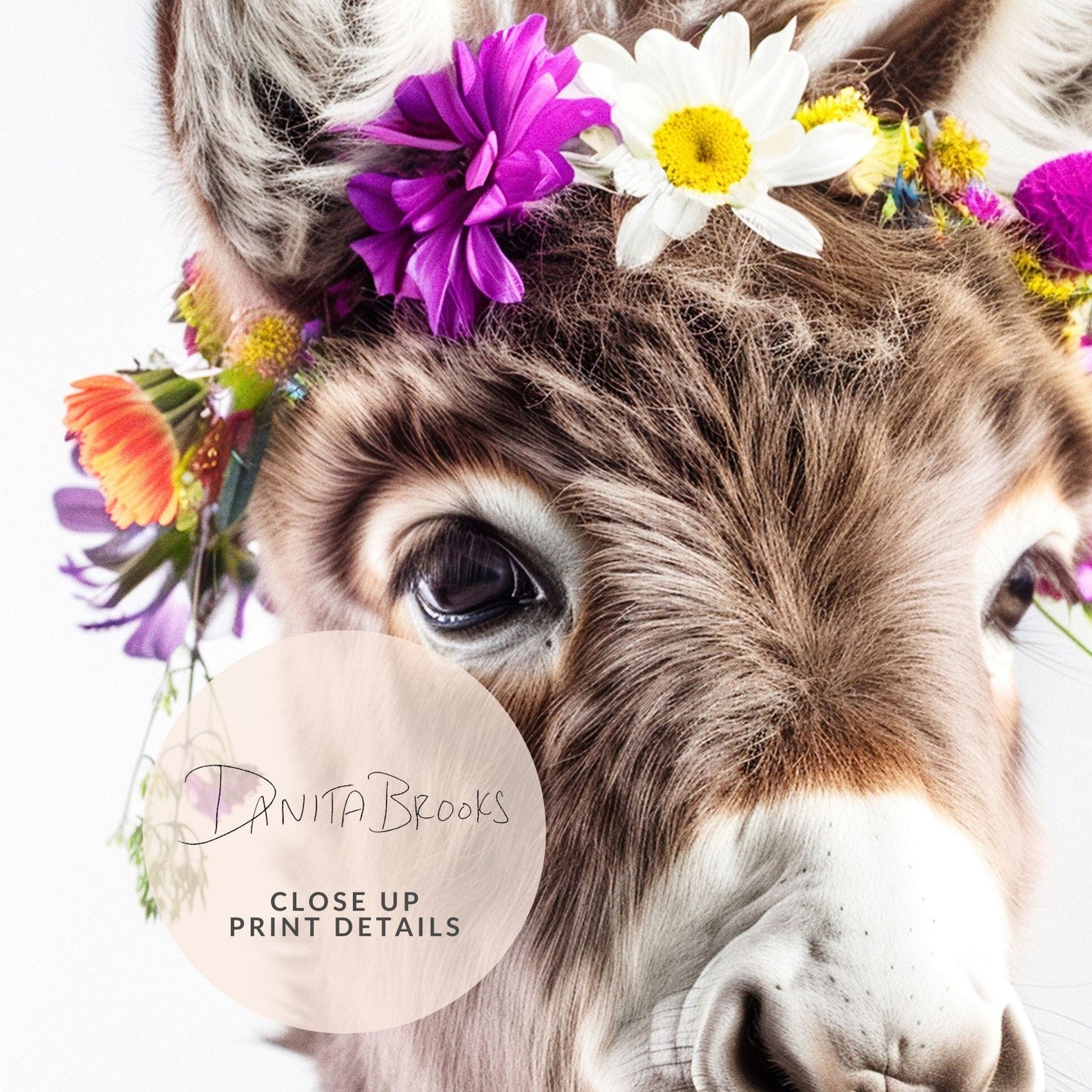 Flower Crown Baby Donkey Portrait