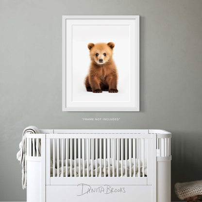 Sitting Baby Bear Art Print