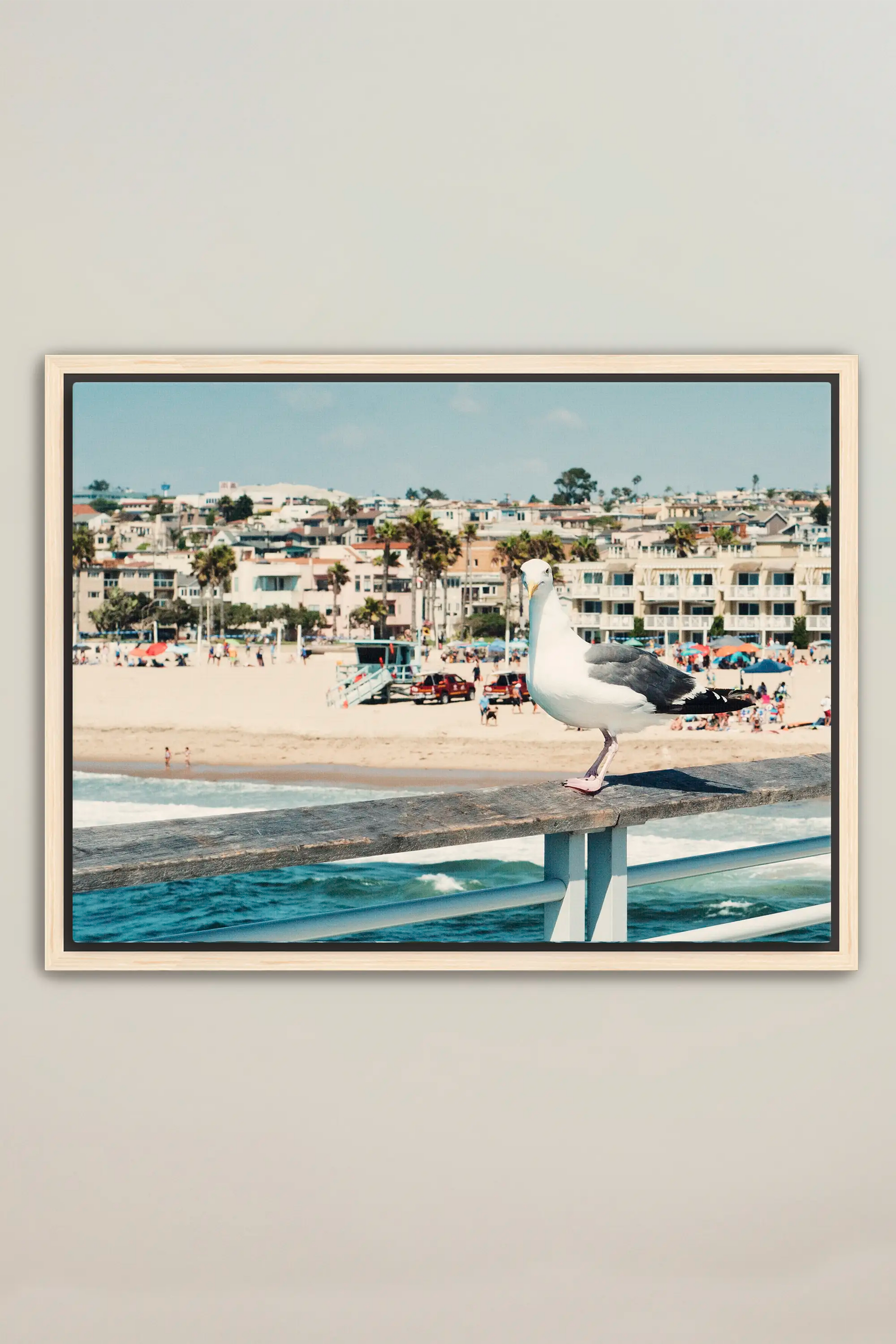 a picture of a seagull sitting on a railing