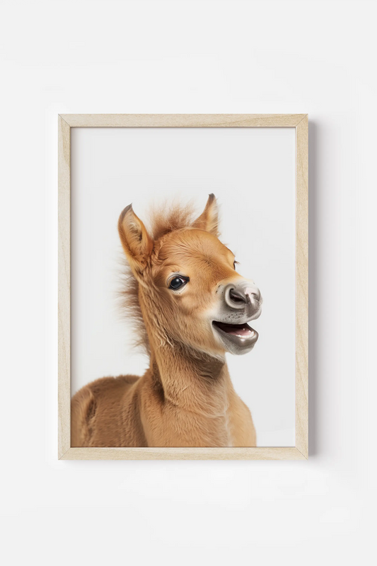 a picture of a baby horse with a funny look on it's face