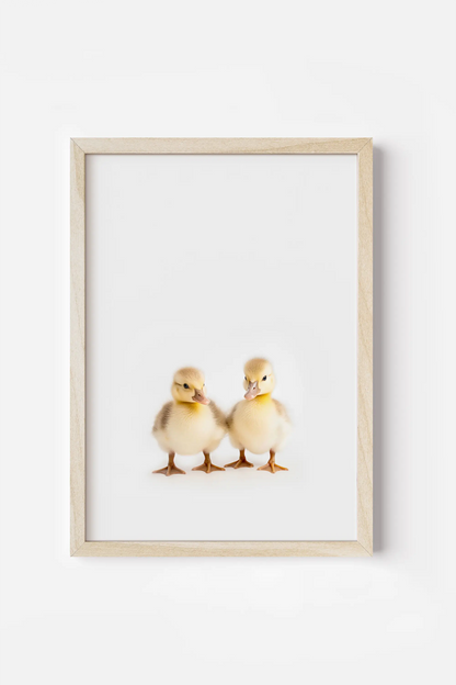 a picture of two little ducks in a frame