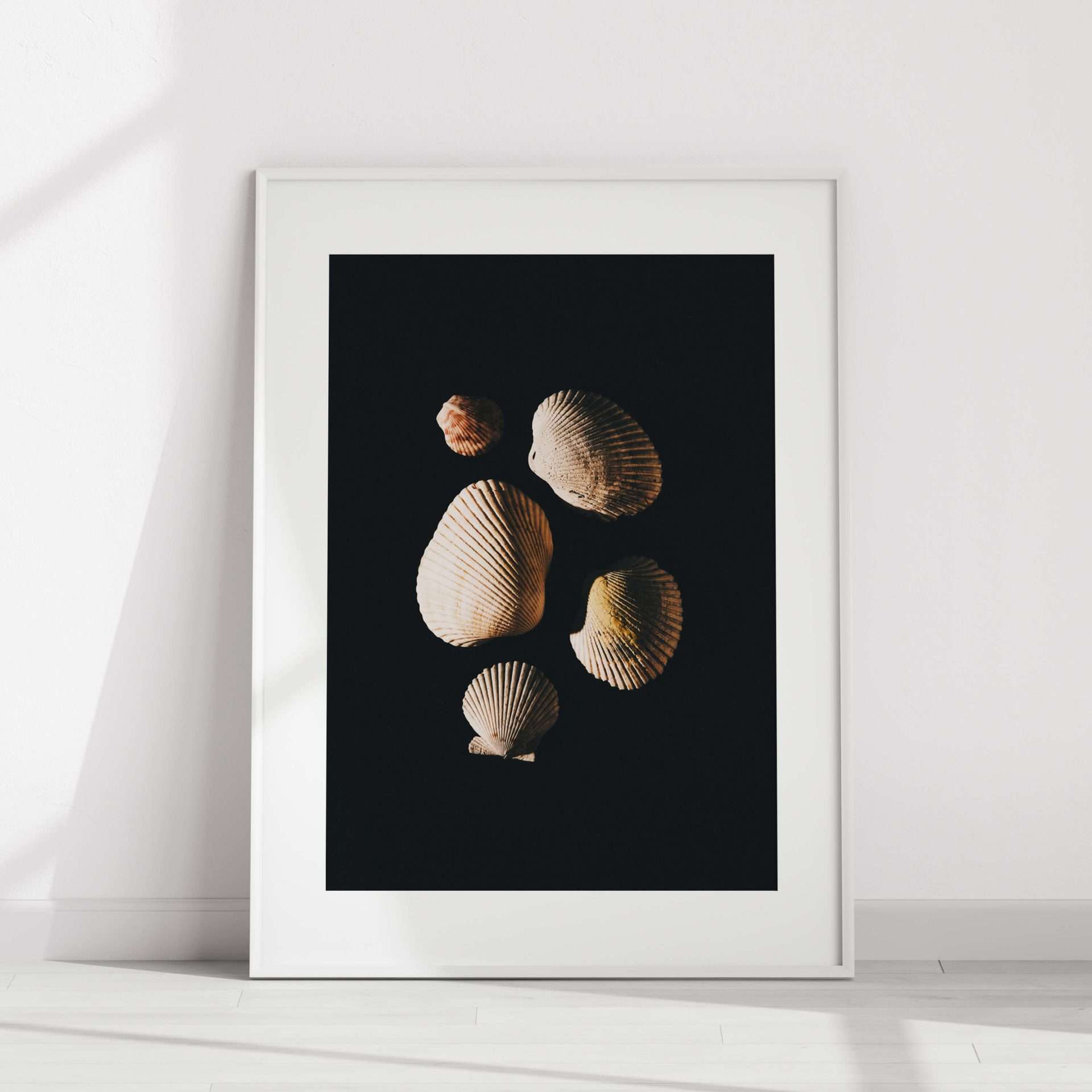 three seashells on a black background in a white frame