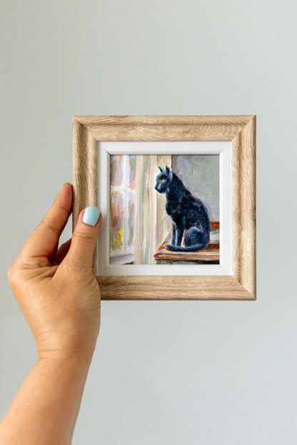 Watching the Light Change – Framed Mini Black Cat Painting