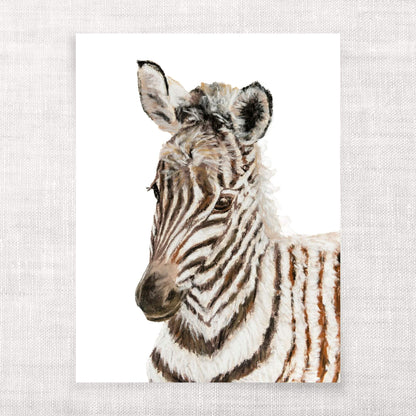 Close-up of a zebra's head on a textured light gray background