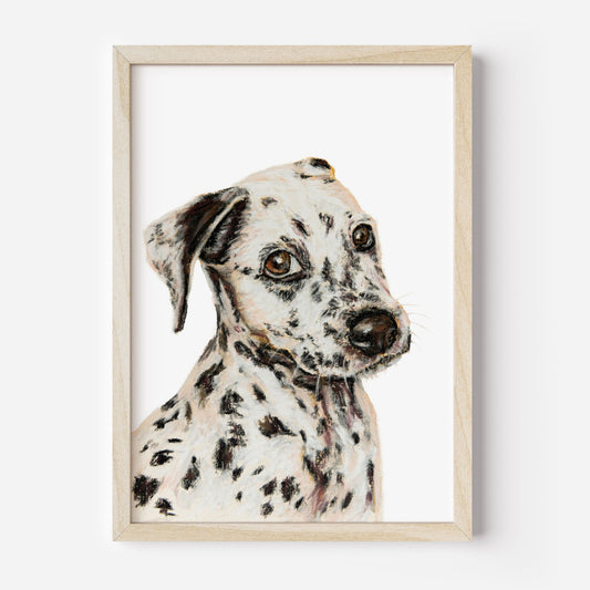 Framed artwork of a Dalmatian dog on a white background
