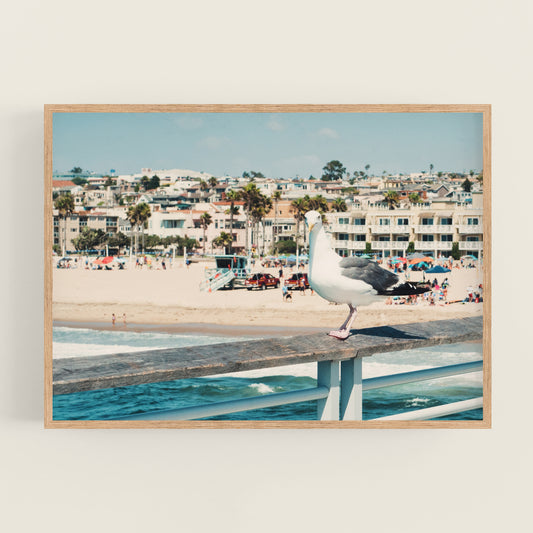a seagull is sitting on a railing near the beach