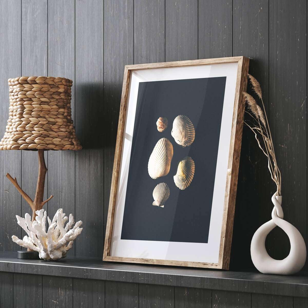 "The Five" Seashell Photography Print