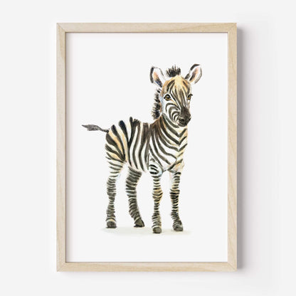 Watercolor zebra nursery art print framed – safari baby animal wall decor for kids room