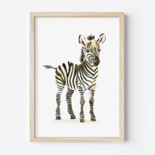 Watercolor zebra nursery art print framed – safari baby animal wall decor for kids room