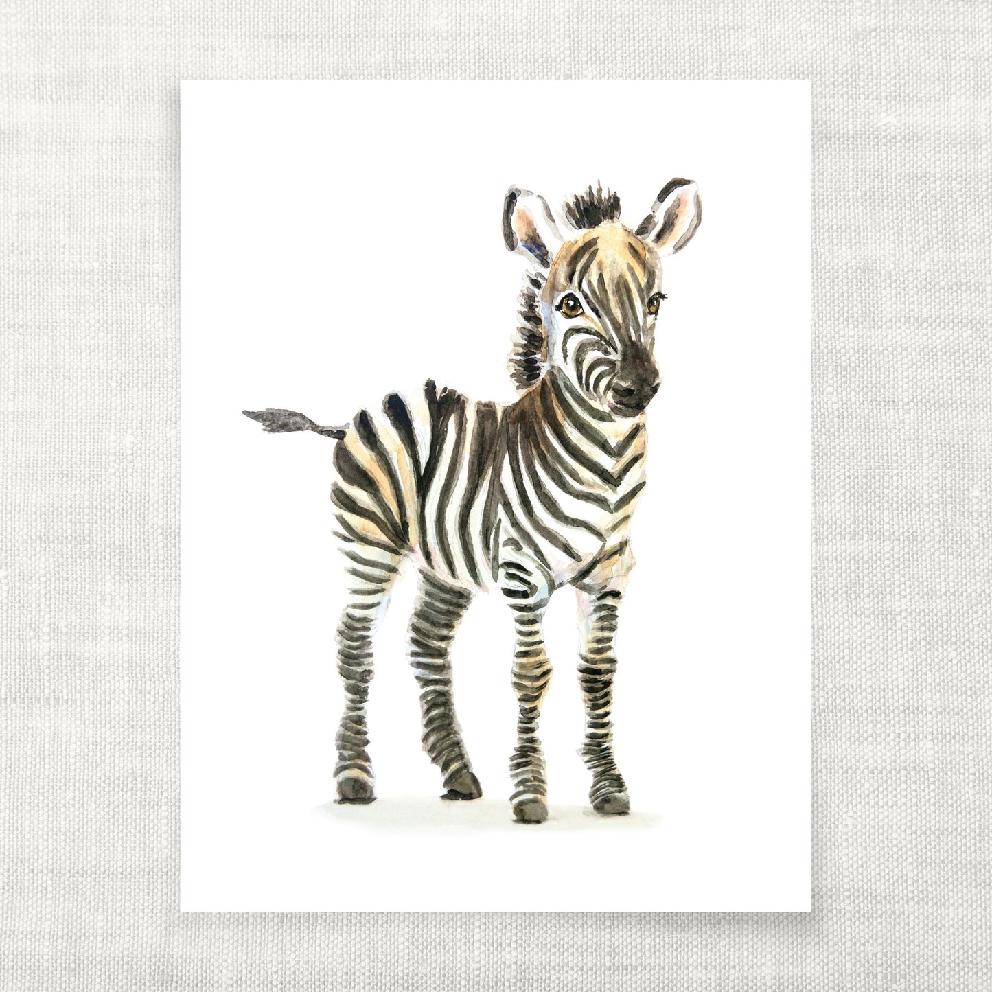 Watercolor Baby Zebra Art Print