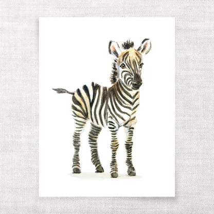 Watercolor Baby Zebra Art Print