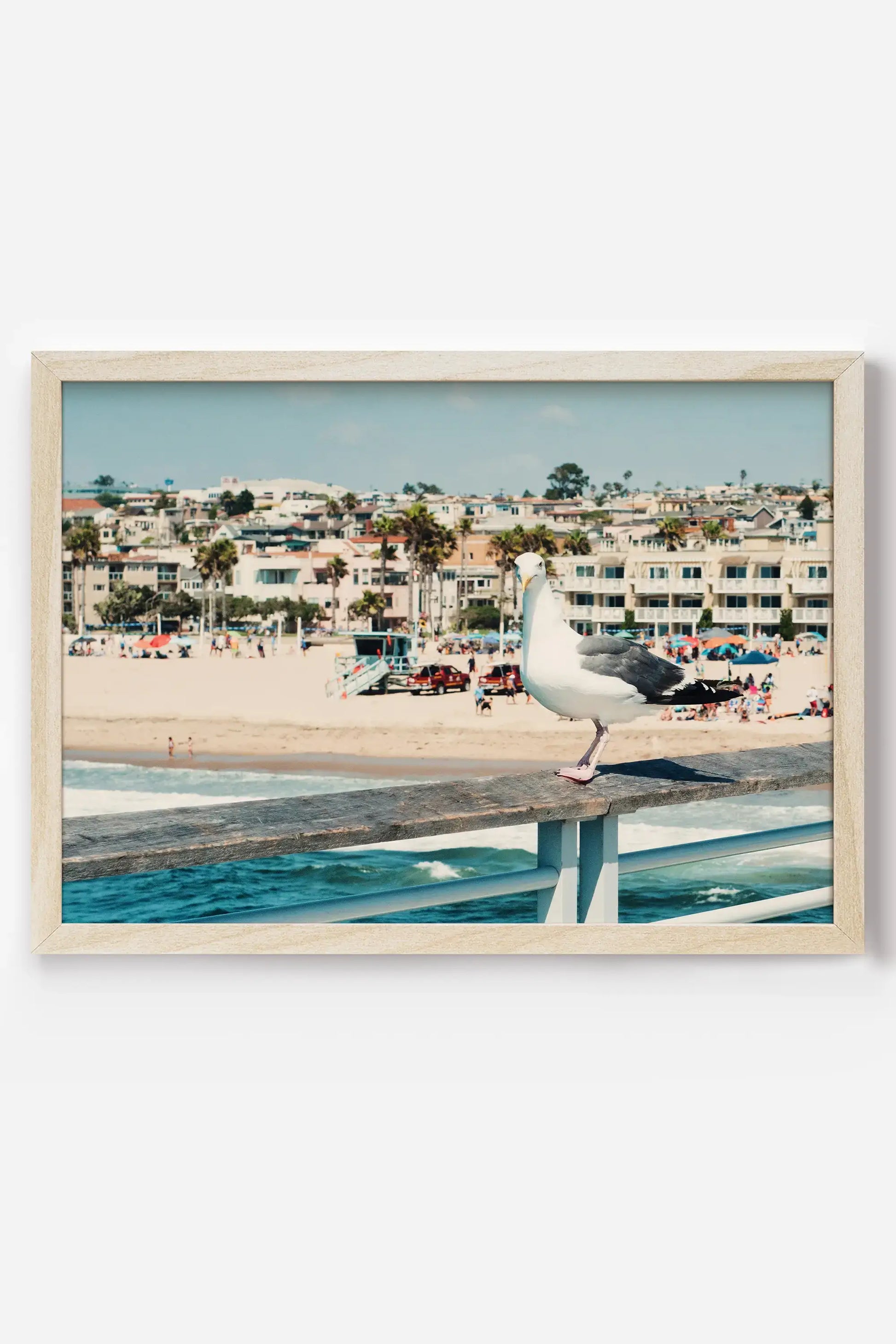 a seagull is sitting on a railing near the beach