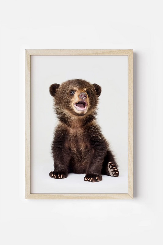 a brown bear sitting in front of a white wall