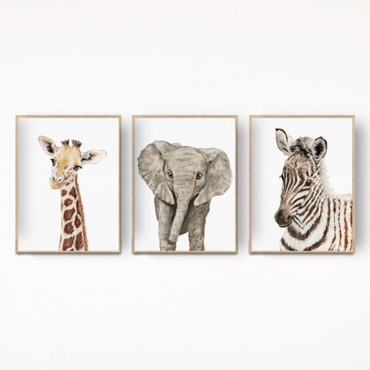 Safari Print Set