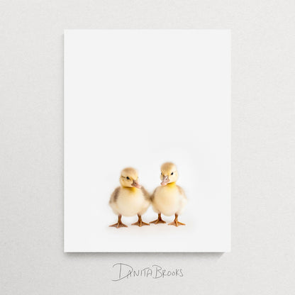 Baby Ducks Print