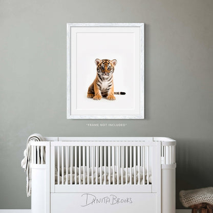 Sitting Baby Tiger Art Print