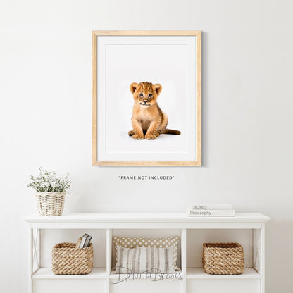 Sitting Baby Lion Print