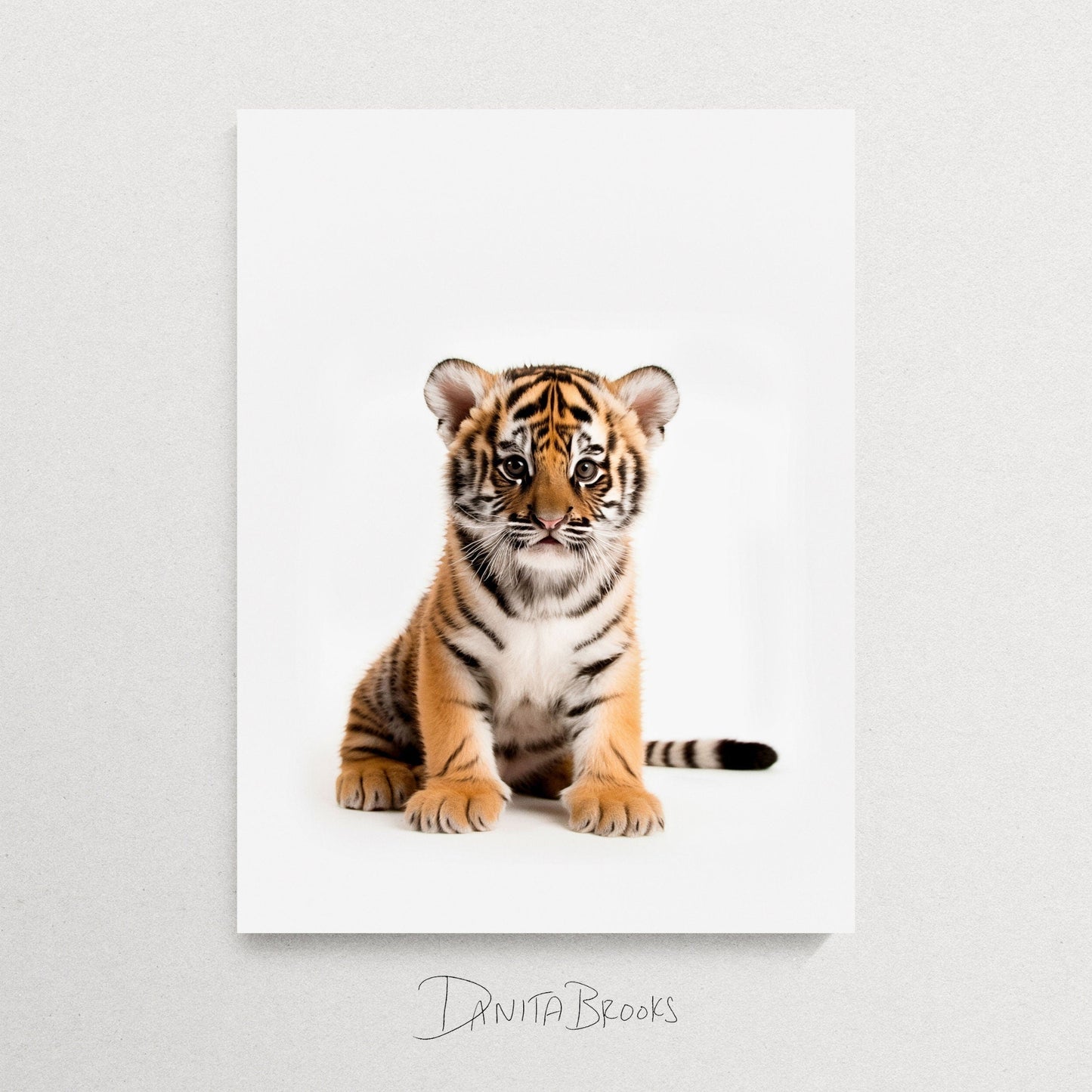 Sitting Baby Tiger Art Print