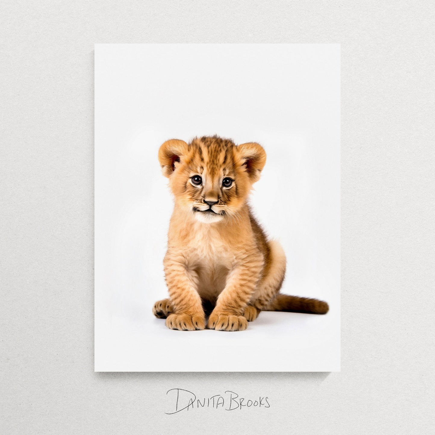 Sitting Baby Lion Print