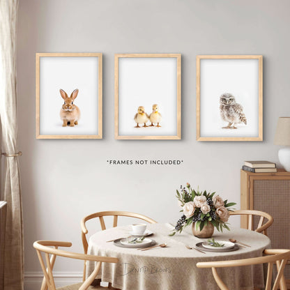 Small Woodland Animals Print Set