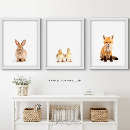 Fox, Ducks, Bunny Print Set