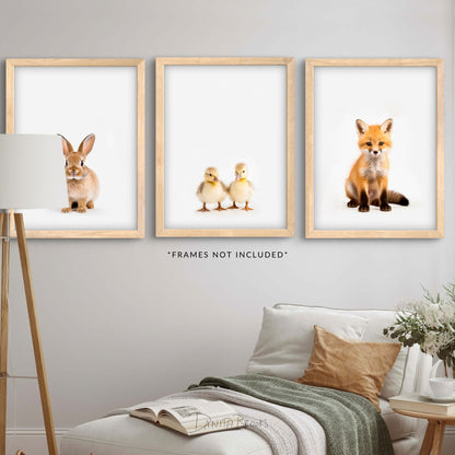 Fox, Ducks, Bunny Print Set