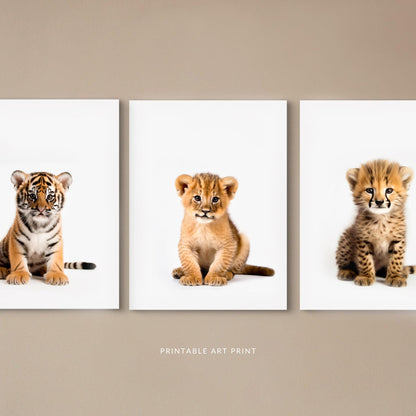 Sitting Safari Animals Print Set