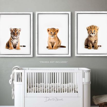 Sitting Safari Animals Print Set