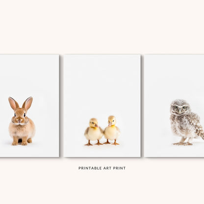 Small Woodland Animals Print Set