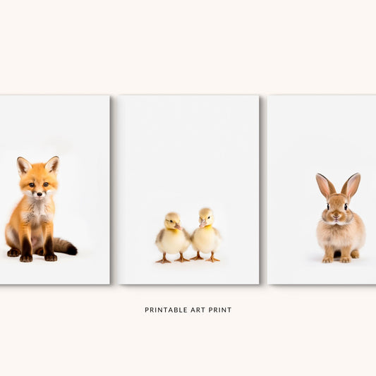 Fox, Ducks, Bunny Print Set